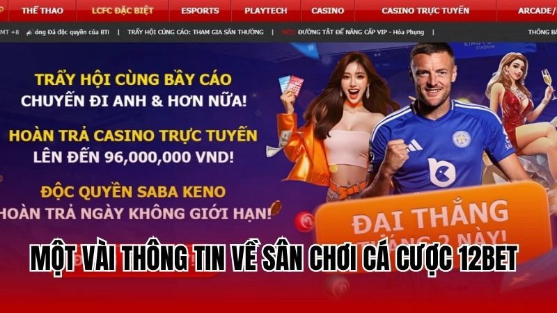 Một vài thông tin về sân chơi cá cược 12Bet