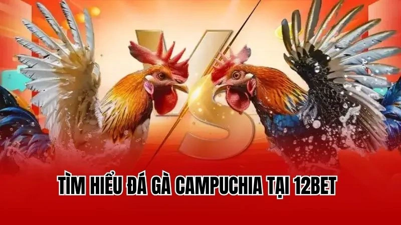 Tìm hiểu đá gà campuchia tại 12Bet