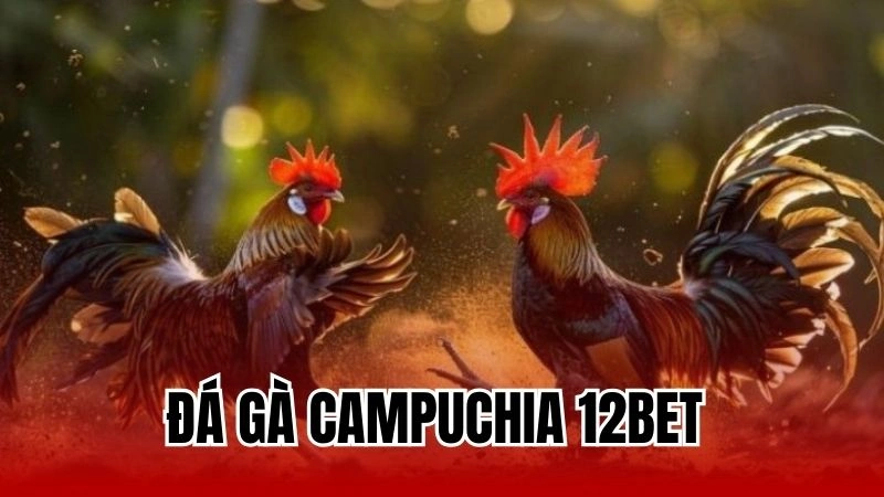 Đá Gà Campuchia 12bet - Bí Mật Của Những Trận Chiến Đỉnh Cao