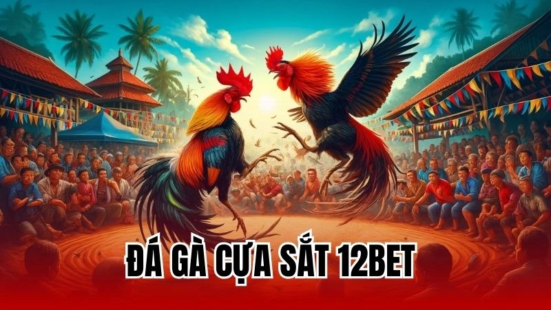 Đá Gà Cựa Sắt 12Bet - Mẹo Tham Gia Chơi Đá Gà Hiệu Quả