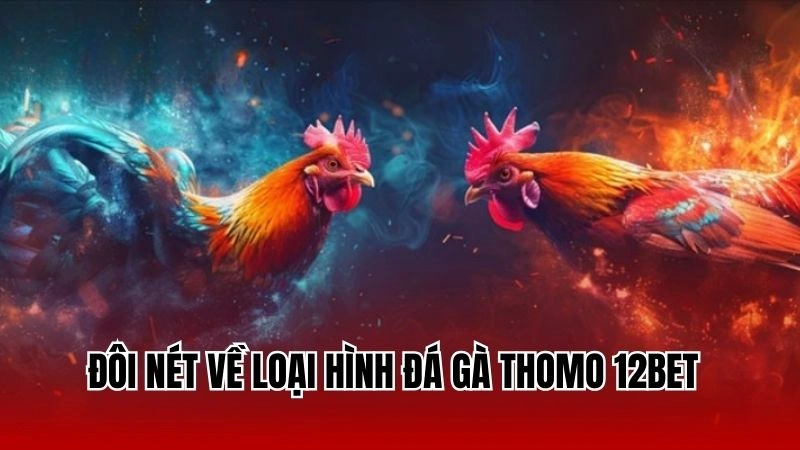 Đôi nét về loại hình đá gà thomo 12Bet