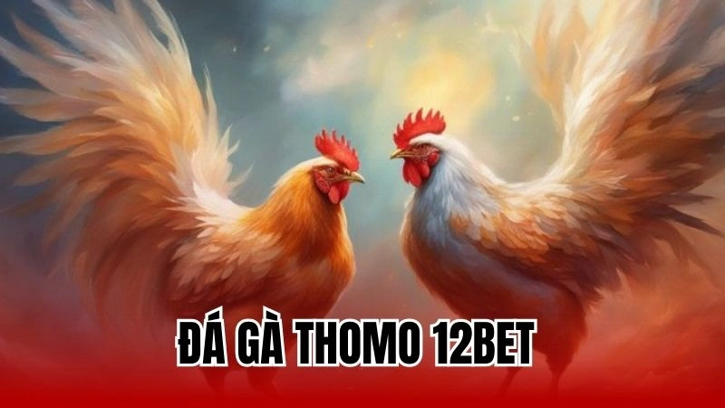 Hướng Dẫn Cách Đặt Cược Hiệu Quả Trong Đá Gà Thomo 12Bet