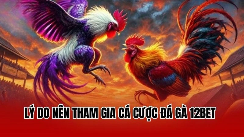 Lý do nên tham gia cá cược đá gà 12Bet