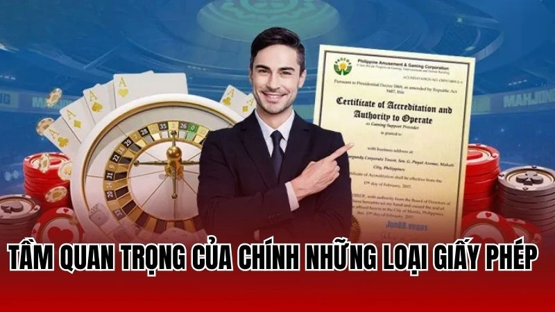 Tầm quan trọng của chính những loại giấy phép