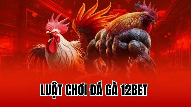 Tìm Hiểu Luật Chơi Đá Gà 12Bet Chi Tiết Cho Kê Thủ